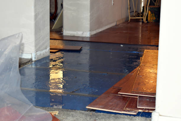 Professional Burst Pipe Cleanup technician working in Casco, MI